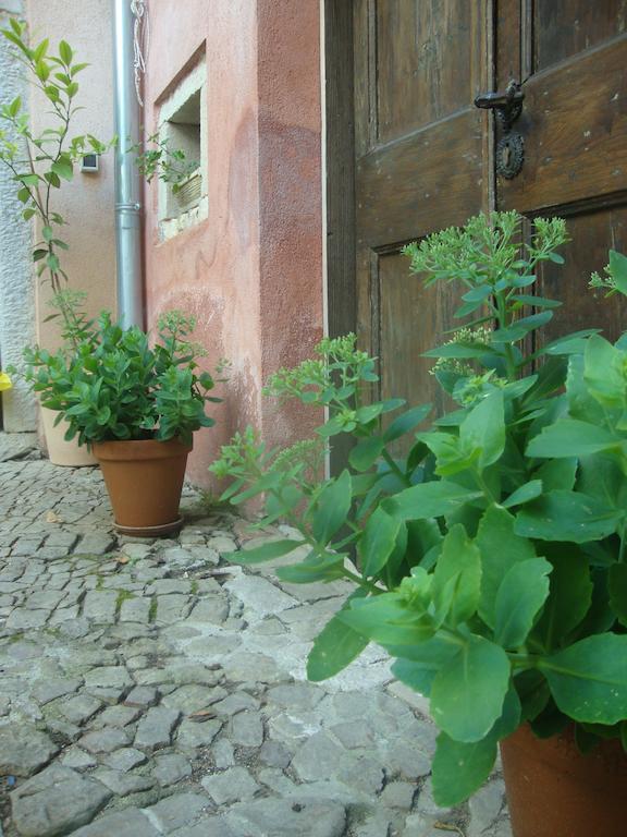 Bed & Breakfast Antico Motovun Exterior foto