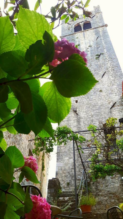 Bed & Breakfast Antico Motovun Exterior foto